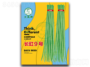 �L��9̖-�����N��-�����N�I(y��)