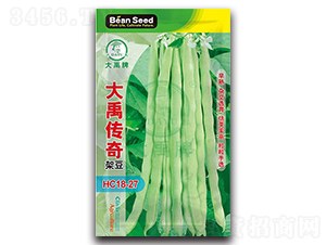 �������-�ܶ��N��-�����N�I(y��)