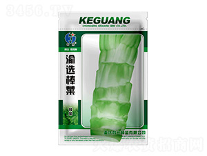 ���x����-�ƹ�N��