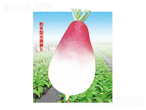 �����}��-�ƹ�N��