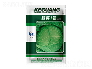 �(sh��)1̖(h��o)-�ƹ�N��