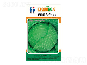 ���@��̖(h��o)-�ƹ�N��