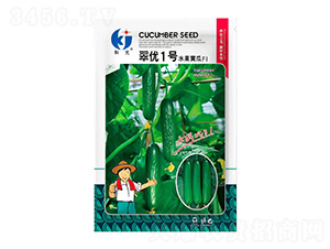 �䃞(y��u)1̖(h��o)-�ƹ�N��