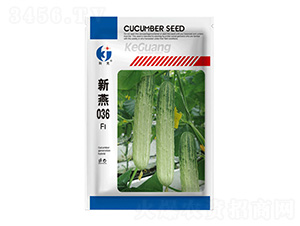 ����036-�ƹ�N��