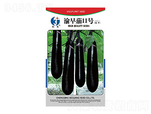 ������11̖(h��o)-�ƹ�N��