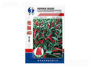 �G��465-�ƹ�N��