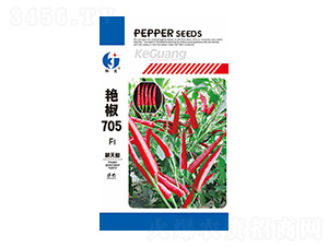 �G��705-�ƹ�N��