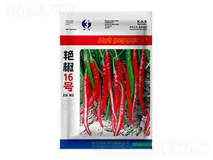 �G��16̖(h��o)-�ƹ�N��