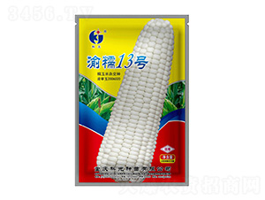 ��Ŵ13̖(h��o)-�ƹ�N��