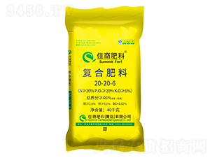 �Ȼ���͏�(f��)�Ϸ���20-20-6-ס�̷���