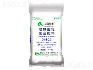 ������͏�(f��)�Ϸ���20-