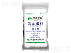 ������͏�(f��)�Ϸ���11-