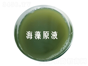 ����ԭҺ-��˹�r