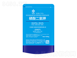 ��������-�P��ɭ-����Ƽ�