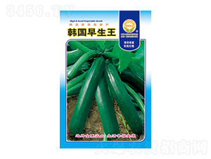 �����J�N��-�n��������-̫���N�I(y��)