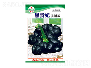 �����ϷN��-���F��-̫��(l��)�N�I(y��)