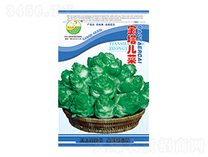 ���˷N��-��������-̫���N�I(y��)