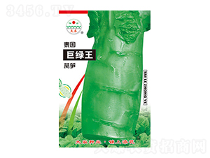 �n�S�N��-̩���޾G��-̫���N�I(y��)