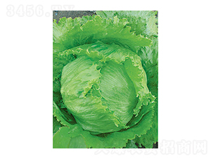 ���˷N��-̫���N�I(y��)