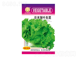 ���˷N��-�ձ����~����-̫���N�I(y��)