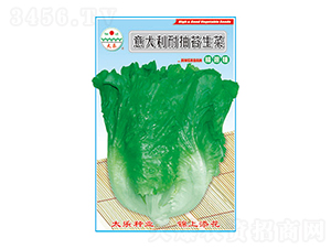 ���˷N��-������ͳ�̦����-̫���N�I(y��)