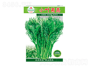 ����N��-С�~����-̫���N�I(y��)