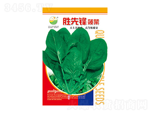 ���˷N��-�����h-̫���N�I(y��)