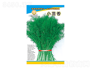 С����-̫���N�I(y��)