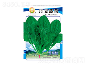 ���˷N��-��������-̫���N�I(y��)