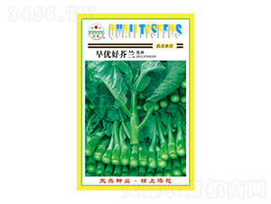 ���m�N��-�烞(y��u)�ý��m-̫���N�I(y��)