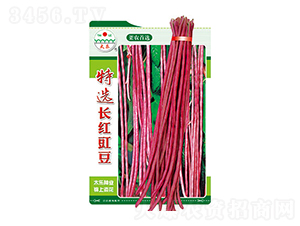 �����N��-���x�L�t����-̫���N�I(y��)