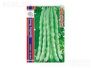 �����N��-�p������-̫���N�I(y��)