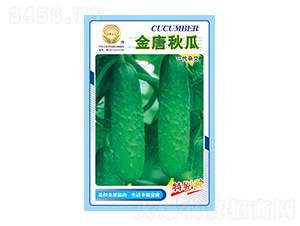 �S�ϷN��-�������-̫���N�I(y��)