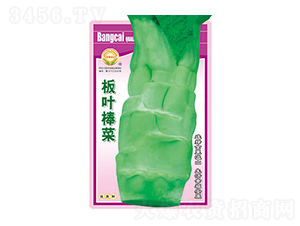 ���˷N��-���~����-̫���N�I(y��)