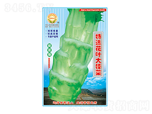 ���˷N��-���x���~�����-̫��(l��)�N�I(y��)