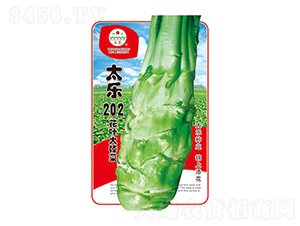 ���˷N��-̫��(l��)202-̫��(l��)�N�I(y��)