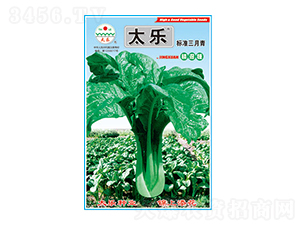 ��˷N��-��(bi��o)��(zh��n)������-̫���N�I(y��)