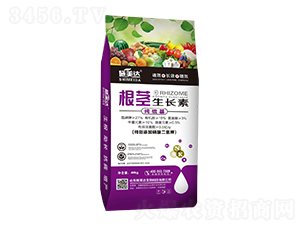 ���o���L��-ʩ���_