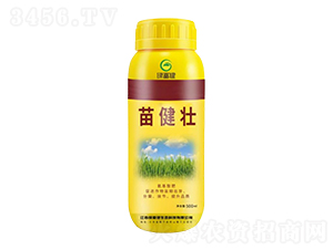 �罡��-�G����