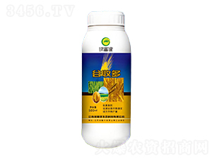 �ȶ���-�G����