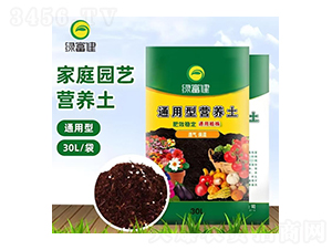 �I�B(y��ng)��-�G����