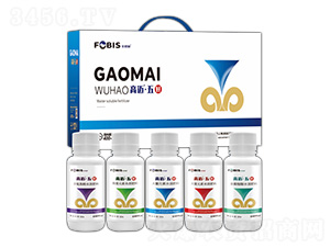 ���~��ýM�Ϸ���-�Ʊ�ʩ