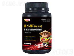 ������ö�ۺϼ�(x��)������ø��-��С��-ʩ�_(d��)��