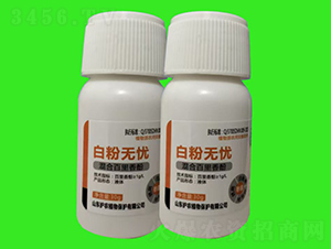 �׷۟o(w��)�n-�V�V����ˎ������-�o(h��)�r(n��ng)ֲ��