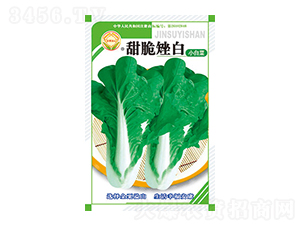 �ײ˷N��-������-̫���N�I(y��)