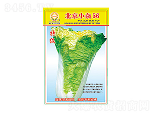 �ײ˷N��-����С�s56-̫���N�I(y��)