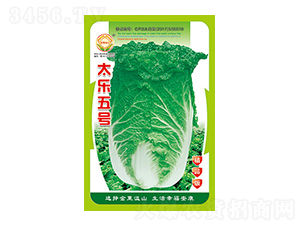 �ײ˷N��-̫����̖(h��o)��Ʒ��-̫���N�I(y��)