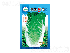 �ײ˷N��-̫��5̖(h��o)-̫���N�I(y��)