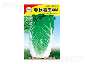 �ײ˷N��-�������608-̫���N�I(y��)