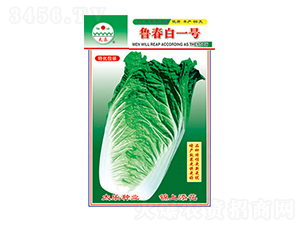 �ײ˷N��-�����ס�̖(h��o)-̫���N�I(y��)